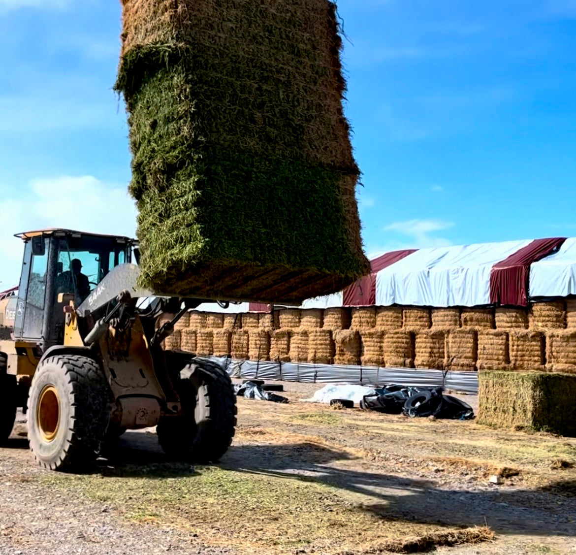 3-Bale Hay Fork